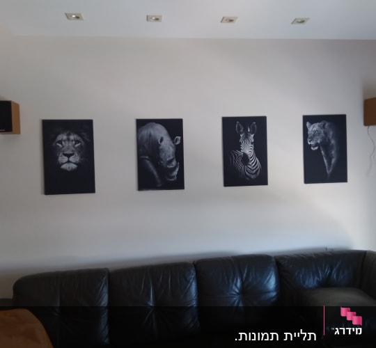 תמונות של חיות על קיר בסלון מודרני